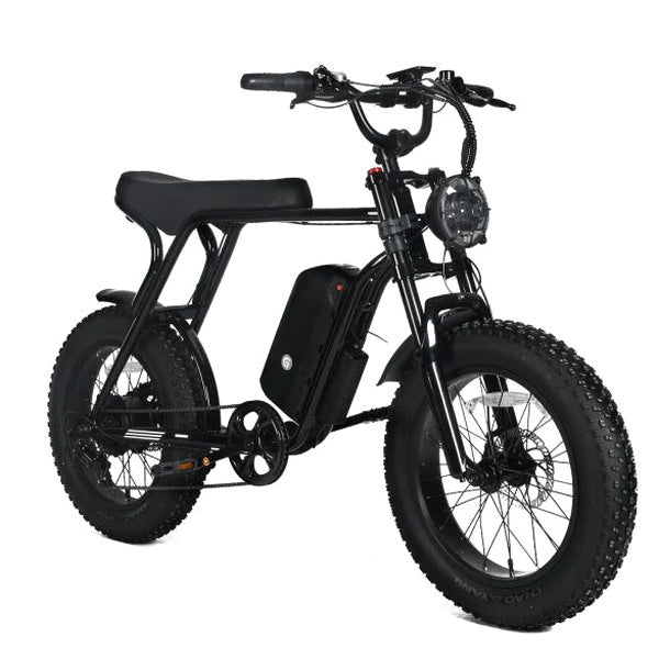 Electric Mountain Bike For Adults, 20 x 4.0 Fat Tires, 1000W Motor, 48V 20Ah Battery, Black – G-M1Sp
