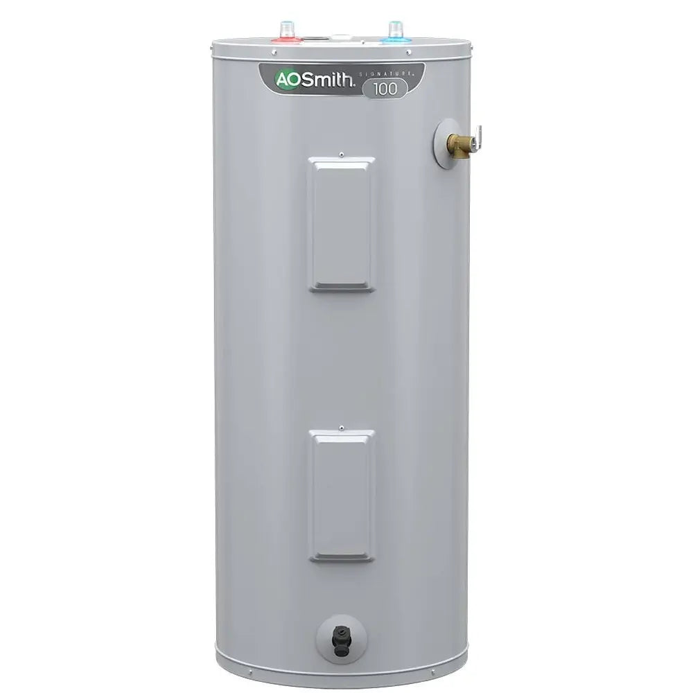 A.O. Smith Signature 100 30-Gallon Tall 4500-Watt Double Element Electric Water Heater – E6-30H45DV