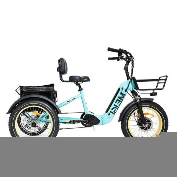 DWMEIGI Silverado 20 48V/14AH 750W Foldable Fat Tire Electric Trike, 330LBS – MG2301 96817362