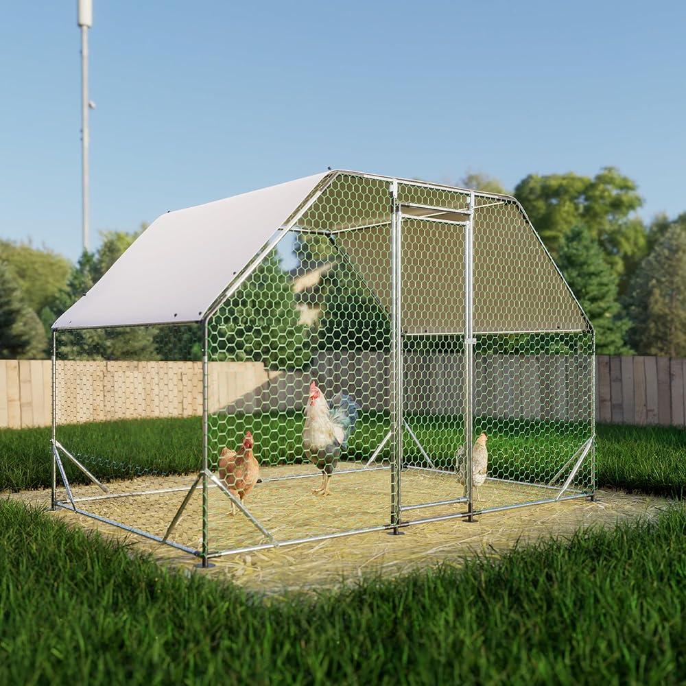Walk-In Metal Chicken Coop And Poultry Run – 10 x 6.5-Foot