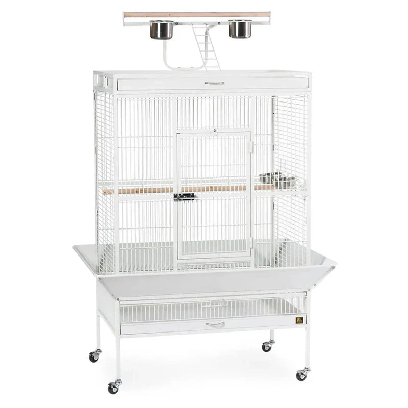 Wrought Iron Select Bird Cage, Chalk White, 36-Inch x 24-Inch x 66-Inch – 3154C