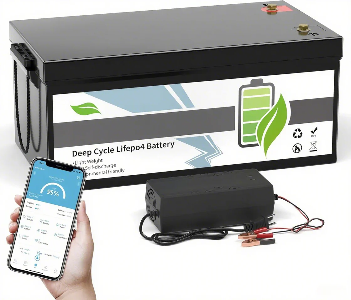 12V 100Ah LiFePO4 Deep Cycle Battery, Group 31, 100A BMS