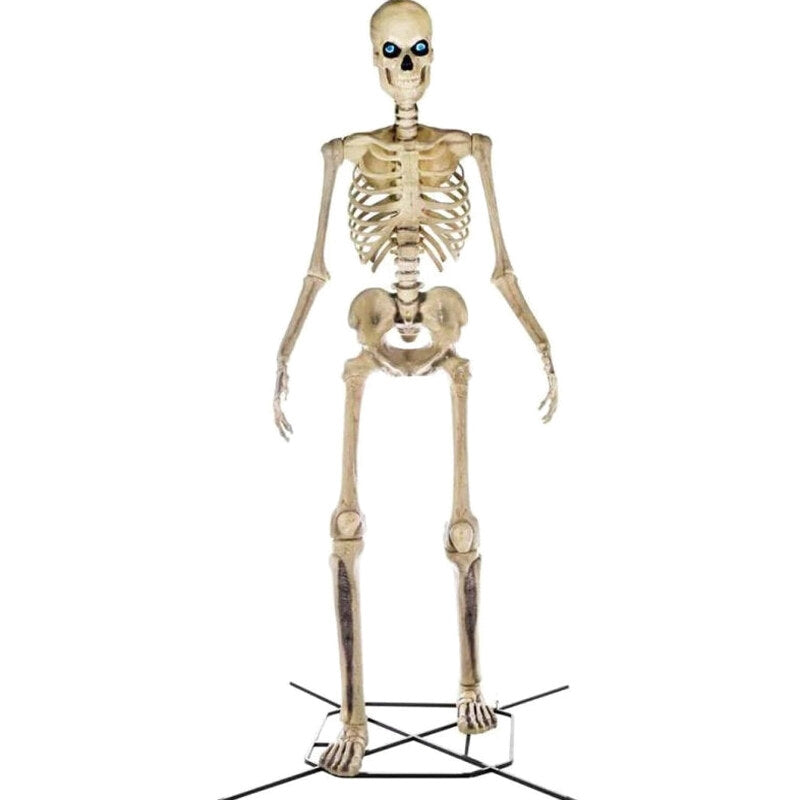 Home Accents Giant Skeleton With LifeEyes, 12 ft, 95 lbs – Halloween Decoration