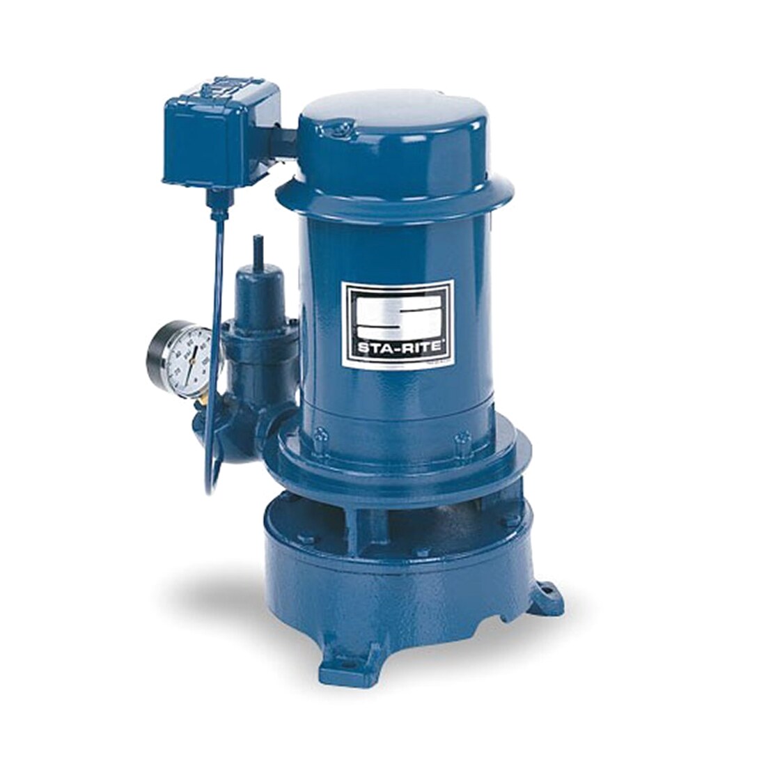 Sta-Rite MS Series 1HP Vertical Multi-Stage Deep Well Jet Pump – Cast Iron Body, Stainless Steel Shaft